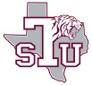 DT Image