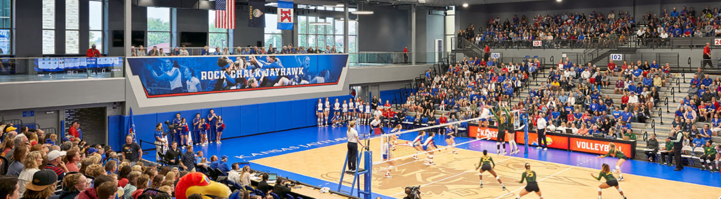 volleyball players on court